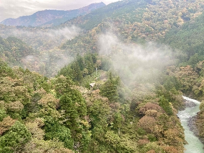 Photo from 2024/11/16