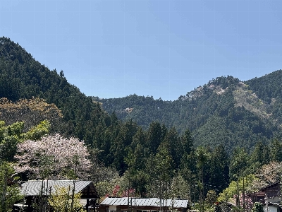 Photo from 2024/4/14