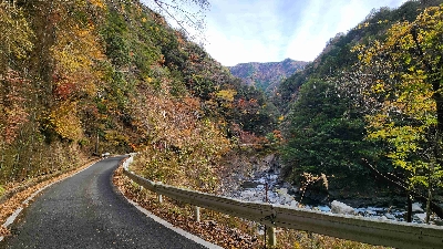 Photo from 2025/11/24