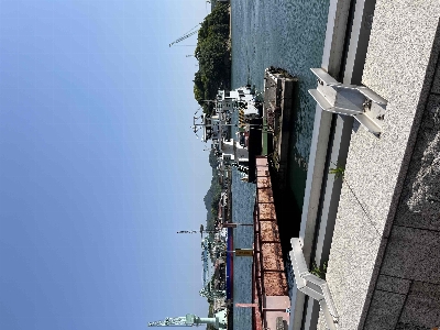 Photo from 2024/5/10