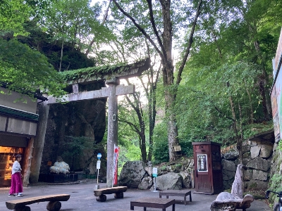 Photo from 2023/7/30