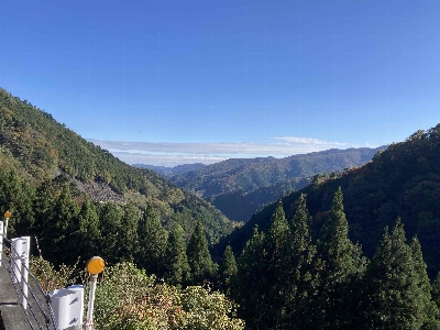 Photo from 2024/11/9