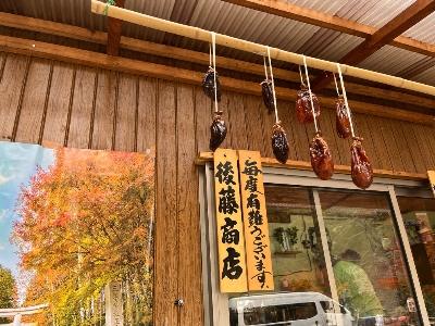 Photo from 2023/11/5