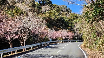 Photo from 2024/1/28