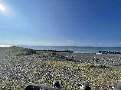 Photo from 2024/8/14