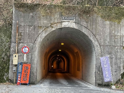 Photo from 2024/12/22