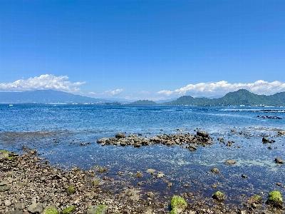 Photo from 2025/4/29