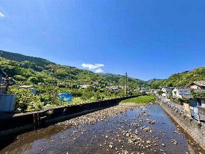 Photo from 2025/4/29