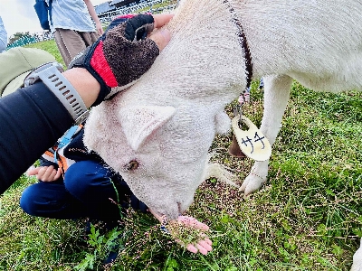 Photo from 2025/10/12