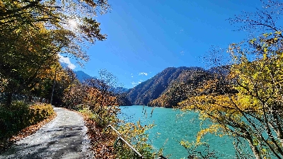 Photo from 2024/11/21