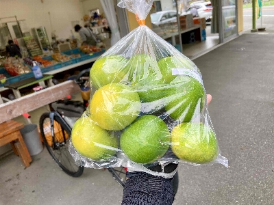 Photo from 2024/9/29