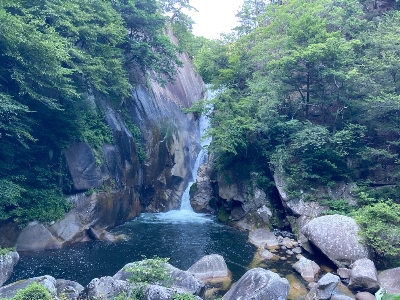 Photo from 2023/7/30