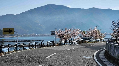 Photo from 2025/4/20