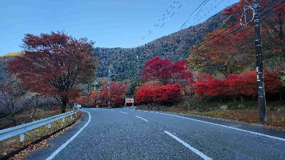 Photo from 2025/11/16