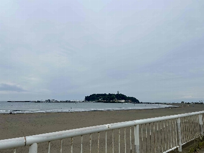 Photo from 2025/5/24