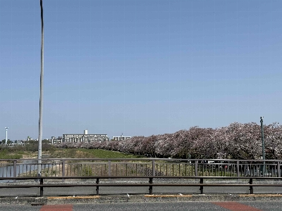 Photo from 2024/4/14