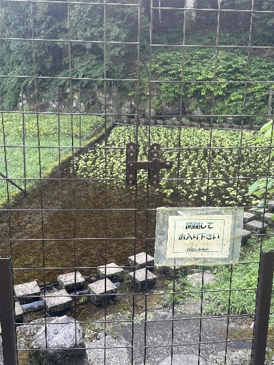 Photo from 2025/8/14