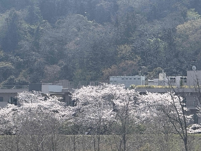 Photo from 2026/3/29