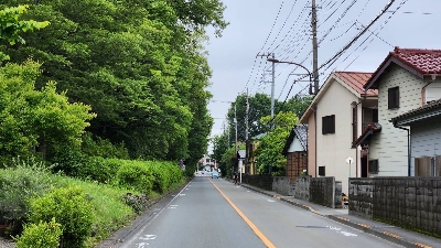 Photo from 2023/6/10