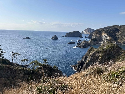 Photo from 2025/2/15