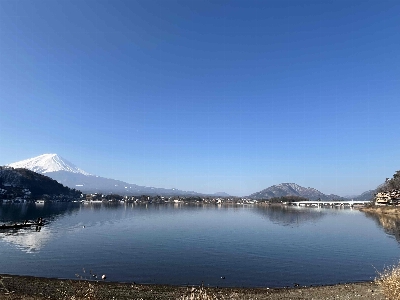 Photo from 2025/3/21