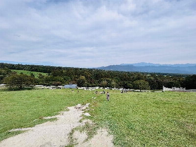 Photo from 2025/10/12