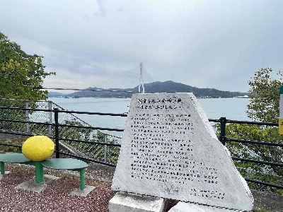 Photo from 2024/10/31