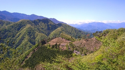 Photo from 2021/4/26