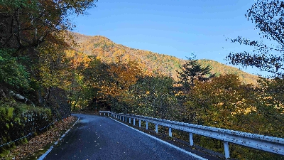 Photo from 2025/11/7