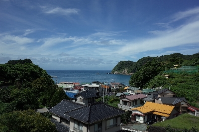 Photo from 2024/9/15