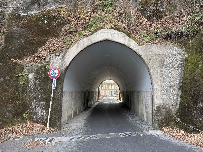 Photo from 2024/12/22