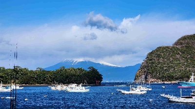 Photo from 2024/1/24