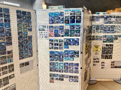 Photo from 2024/11/16