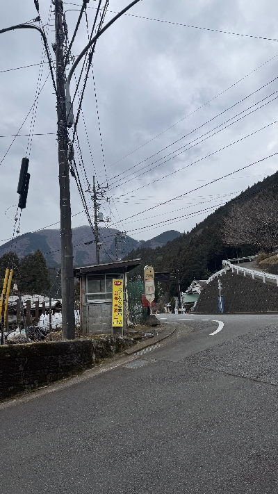 Photo from 2025/1/25