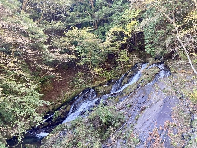 Photo from 2024/11/9