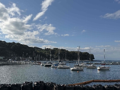 Photo from 2024/11/3