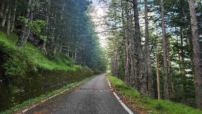 Photo from 2025/8/24