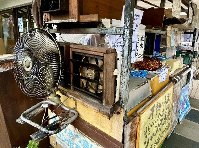 Photo from 2025/7/13