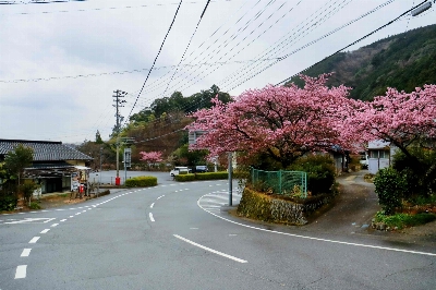 Photo from 2025/3/15