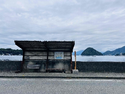 Photo from 2025/10/19