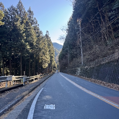 Photo from 2024/12/29