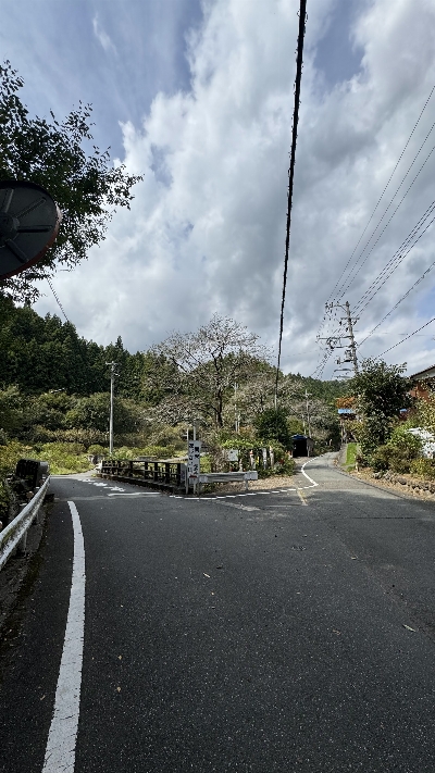 Photo from 2025/9/28