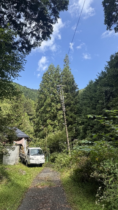 Photo from 2025/9/28