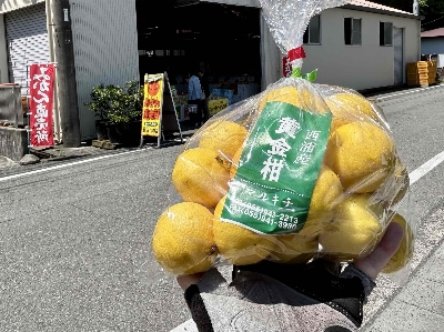 Photo from 2025/4/29