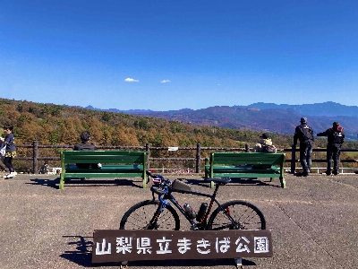 Photo from 2023/11/3