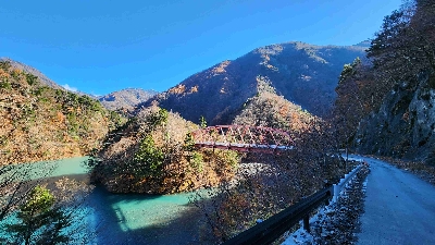 Photo from 2024/11/21