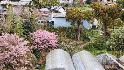 Photo from 2024/2/17