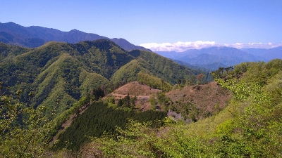 Photo from 2021/4/26