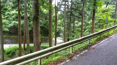 Photo from 2018/5/31