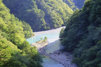 Photo from 2025/7/26